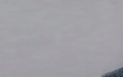 portrait of fear - amazed young man with short hair hiding his mouth with his hands for question, worry and anxiety, dark grey long banner