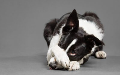 AdobeStock_408819098