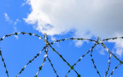 Barbed wire and blue sky as symbols of injustice and freedom