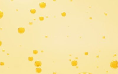 AdobeStock_516991173