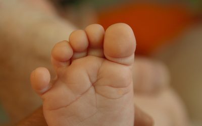foot-1625990_1280